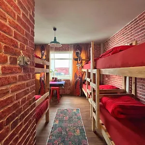  Hostal Lola Backpacker's